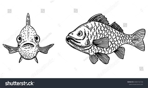 1,761 Fish front view Stock Illustrations, Images & Vectors.